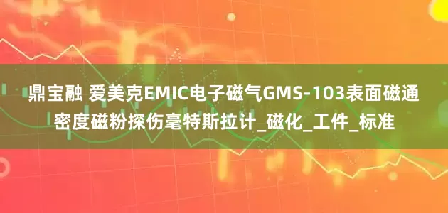 鼎宝融 爱美克EMIC电子磁气GMS-103表面磁通密度磁粉探伤毫特斯拉计_磁化_工件_标准